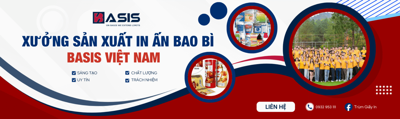 chinh in mang ghep basis viet nam 5 1