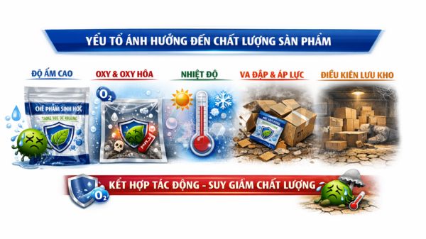 Bao Bì Chế Phẩm Sinh Học – Màng Ghép Bảo Vệ Vi Sinh Khỏi Ẩm Và Oxy Các yếu tố ảnh hưởng đến chất lượng sản phẩm