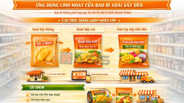 Ứng dụng thực tế của bao bì xoài sấy dẻo