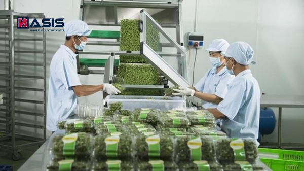 EC 1935/2004 Và Regulation 10/2011 — Thị Trường EU