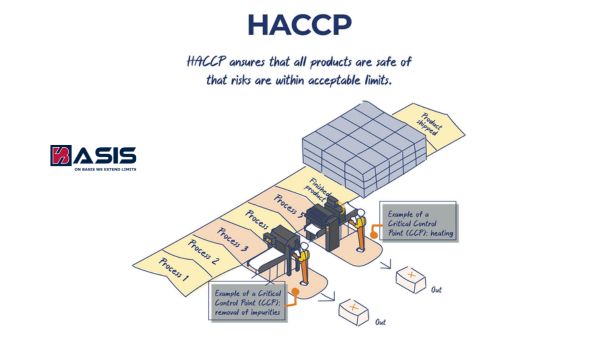 ISO 22000 Và HACCP: Vì Sao Bao Bì Cần Cả Hai Chứng Nhận? haccp