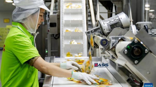 Case Study: MOQ Túi 3 Biên Và Dạng Cuộn